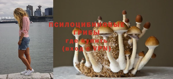 МДПВ Алексеевка