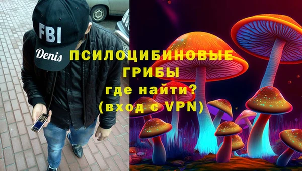 МДПВ Алексеевка