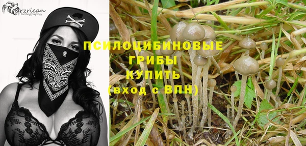 PSILOCYBIN Алексин