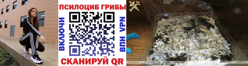 Галлюциногенные грибы Magic Shrooms  Жирновск 