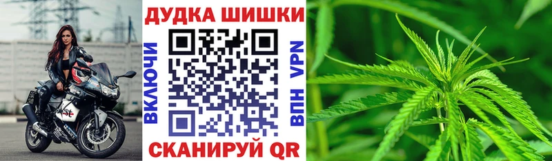 Конопля OG Kush  цена   Жирновск 